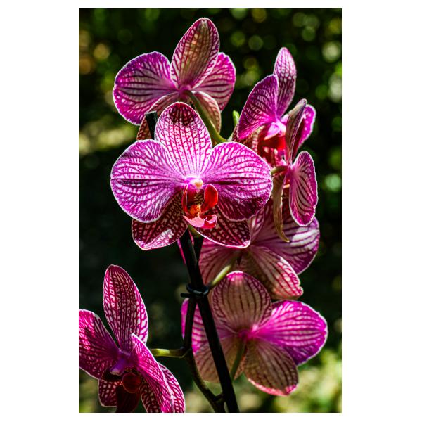 PHOTO84, CLUB, 84 , LUBERON